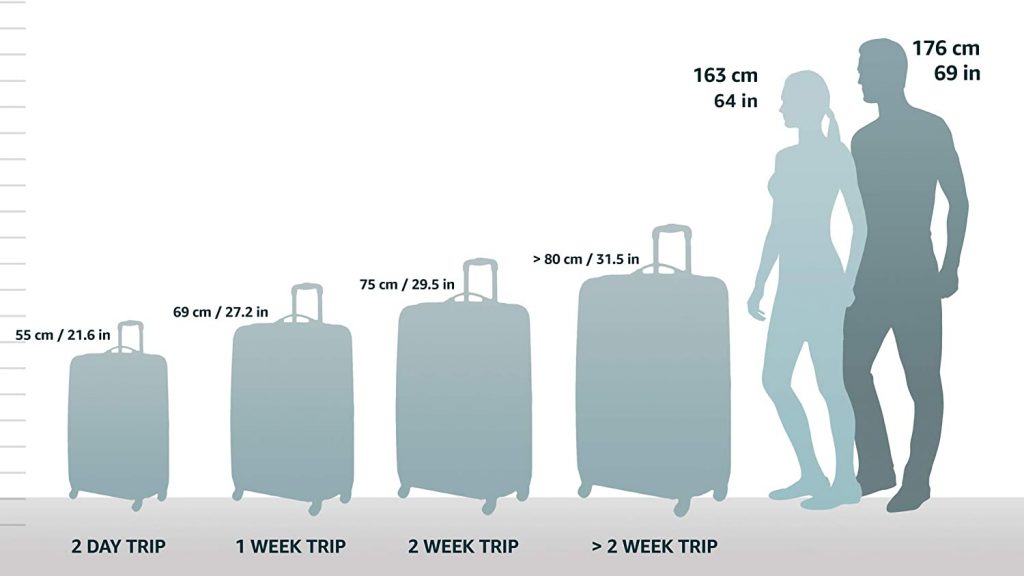 Spinner Luggage Size