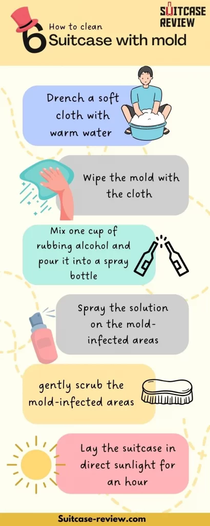 how to clean Suitcase with mold