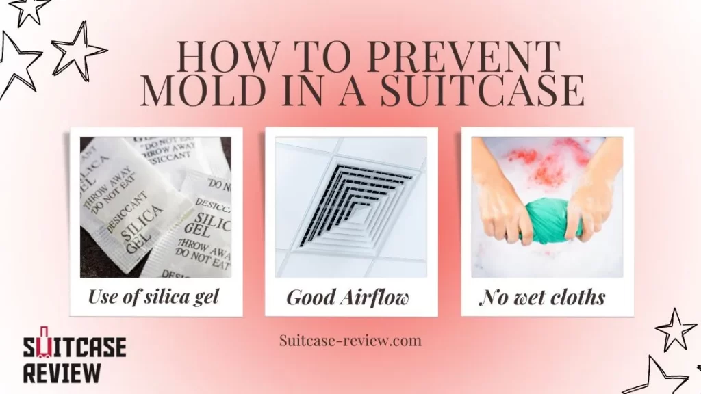 How to prevent mold in a suitcase