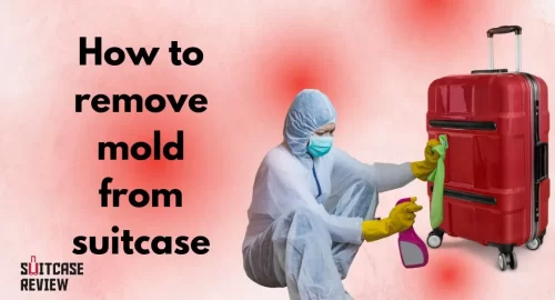 How to remove mold from suitcase