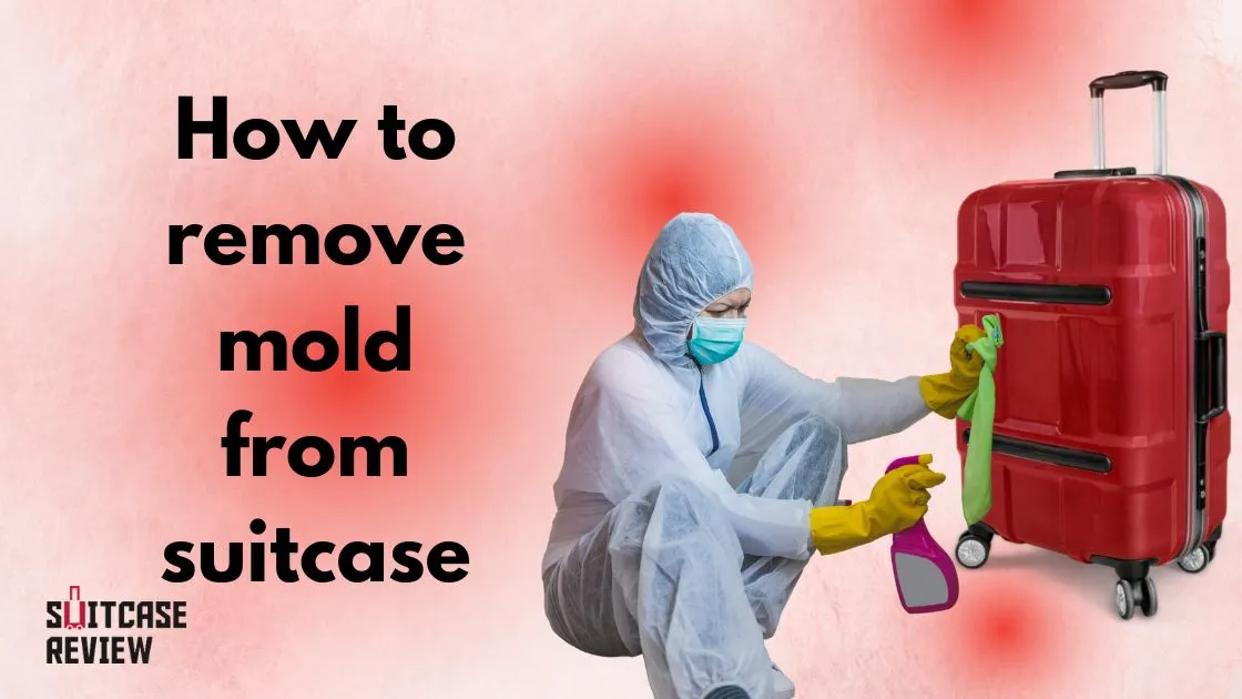 How to remove mold from suitcase